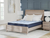 Orleans Furniture - Ashley Furniture - Peak 2.0 10 Hybrid Mattresses - King / Light Blue - M20241